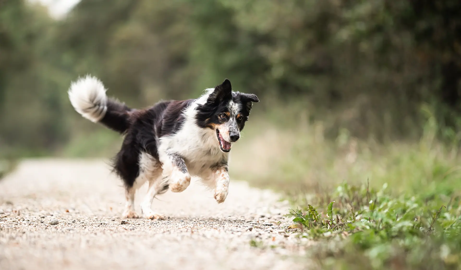 Tierärztin Ulm / Neu-Ulm - Kleintierpraxis Bernick Ulm