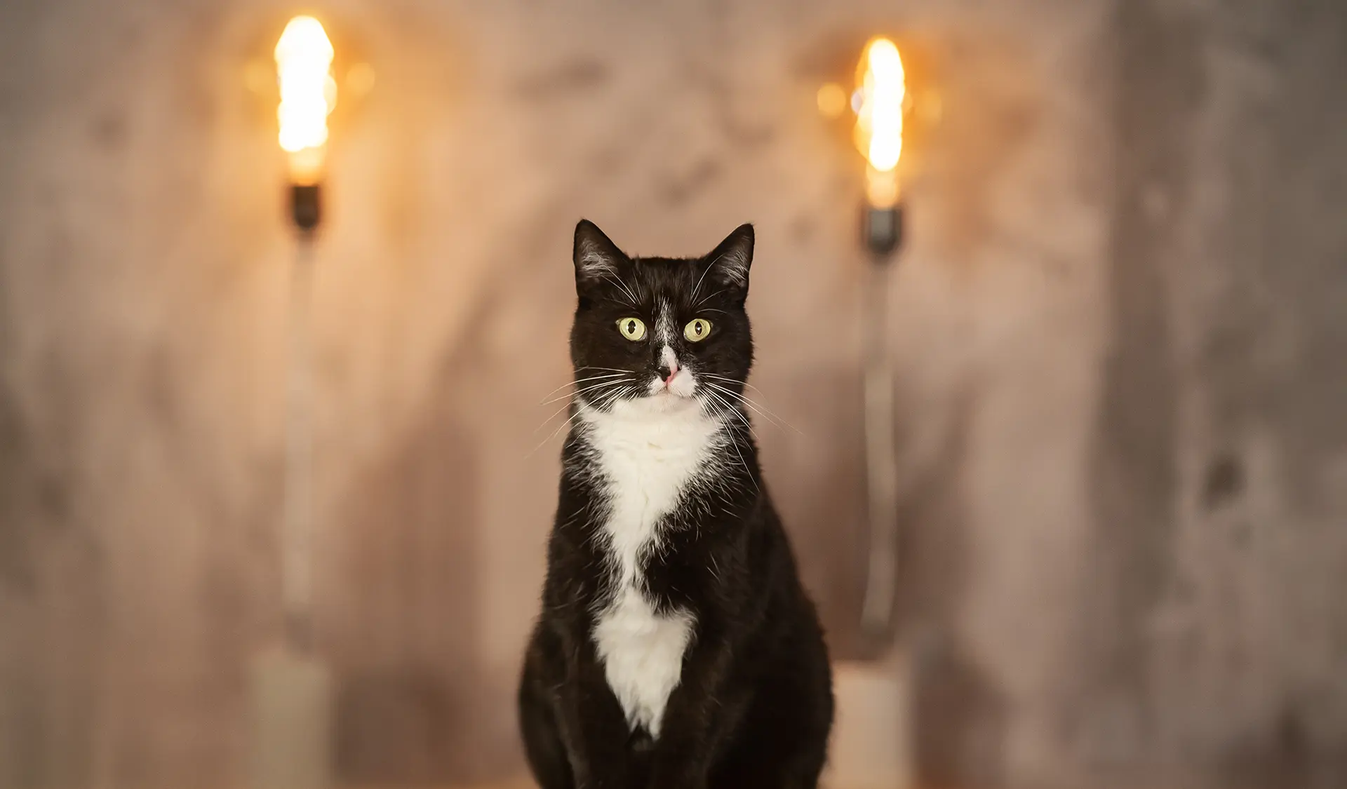 Tierärztin Ulm / Neu-Ulm - Kleintierpraxis Bernick Ulm