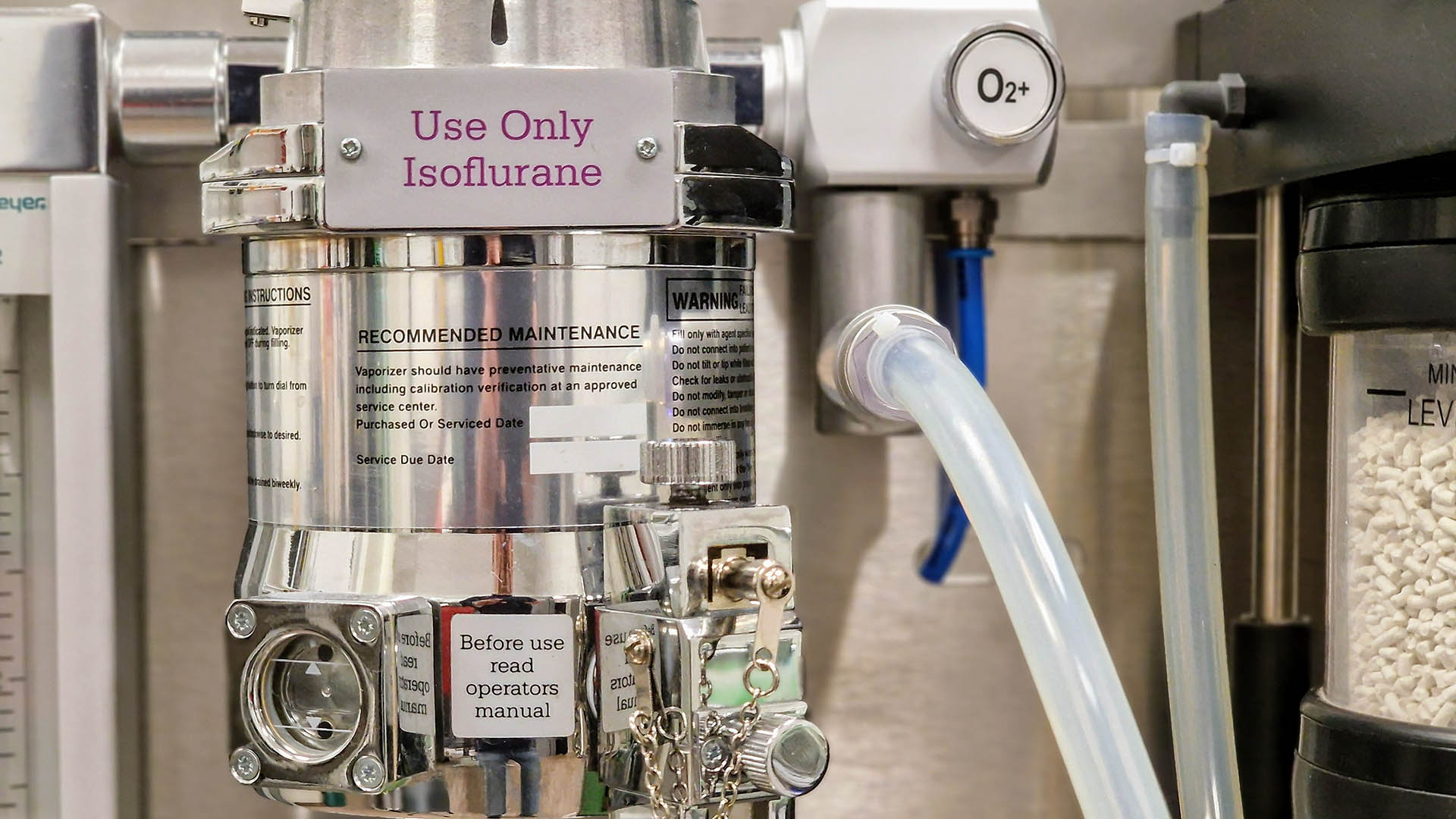 Tierärztin Ulm / Neu-Ulm - Kleintierpraxis Bernick Ulm