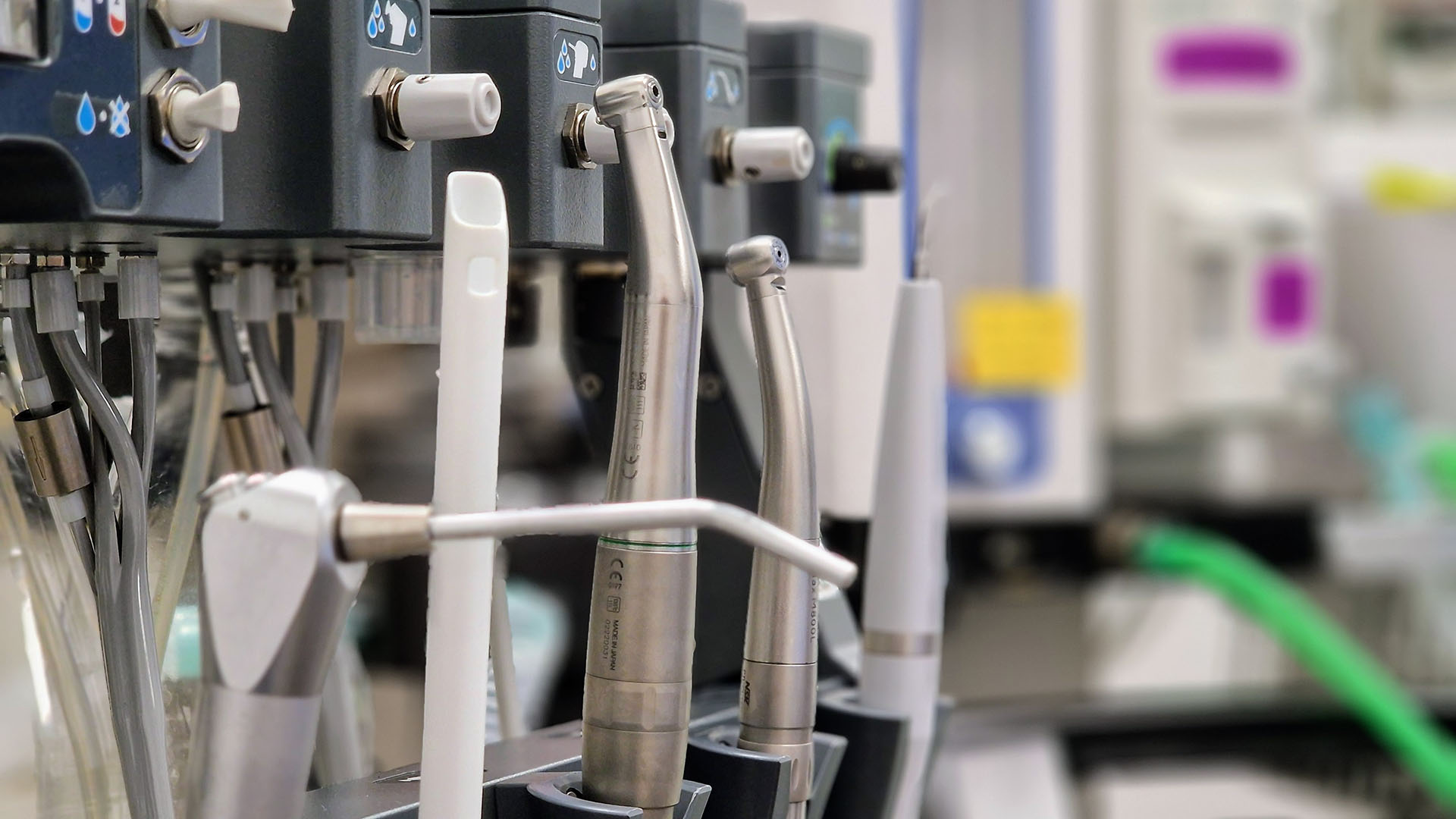 Tierärztin Ulm / Neu-Ulm - Kleintierpraxis Bernick Ulm